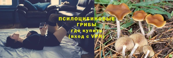 марки nbome Медвежьегорск
