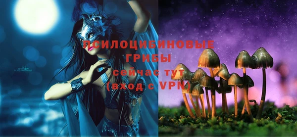 марки nbome Медвежьегорск