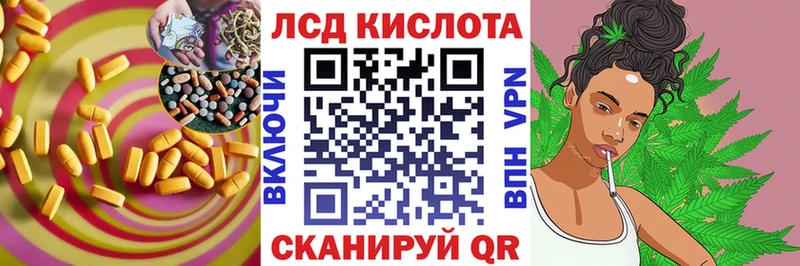 Лсд 25 экстази ecstasy  Александровск 